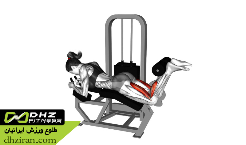 جلو پا دستگاه Leg Extension: 